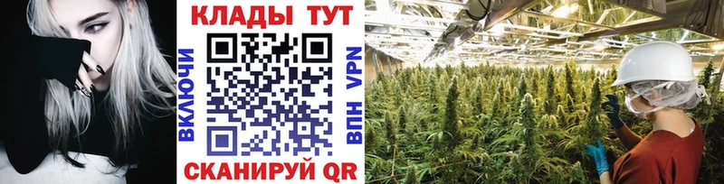 Где продают наркотики Кувшиново Марихуана Кокаин ГАШИШ МЕГА как зайти Мефедрон