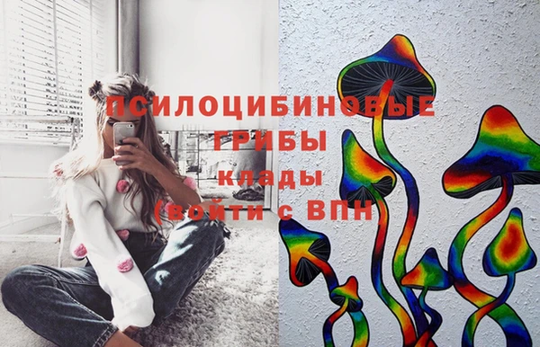 кокаин колумбия Алексин