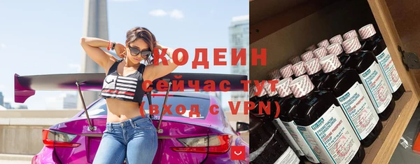 сатива Осташков